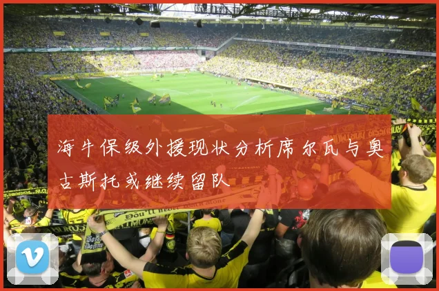海牛保级外援现状分析席尔瓦与奥古斯托或继续留队