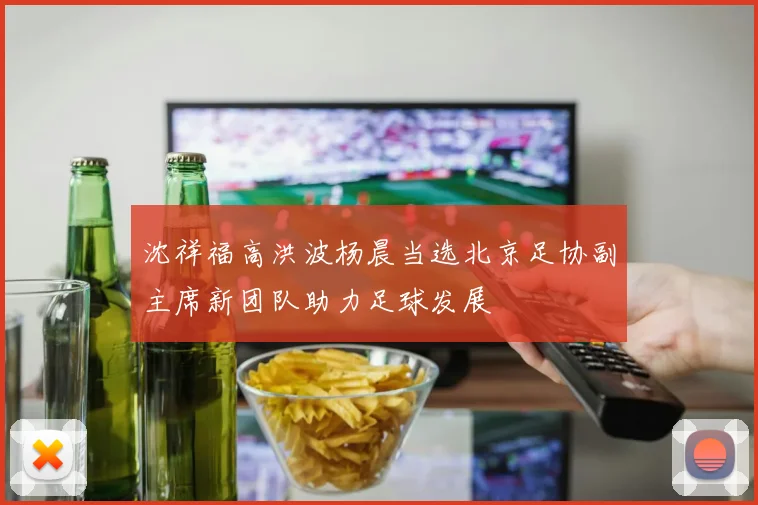 沈祥福高洪波杨晨当选北京足协副主席新团队助力足球发展