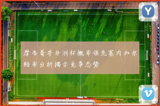 摩洛哥夺非洲杯概率领先塞内加尔赔率分析揭示竞争态势