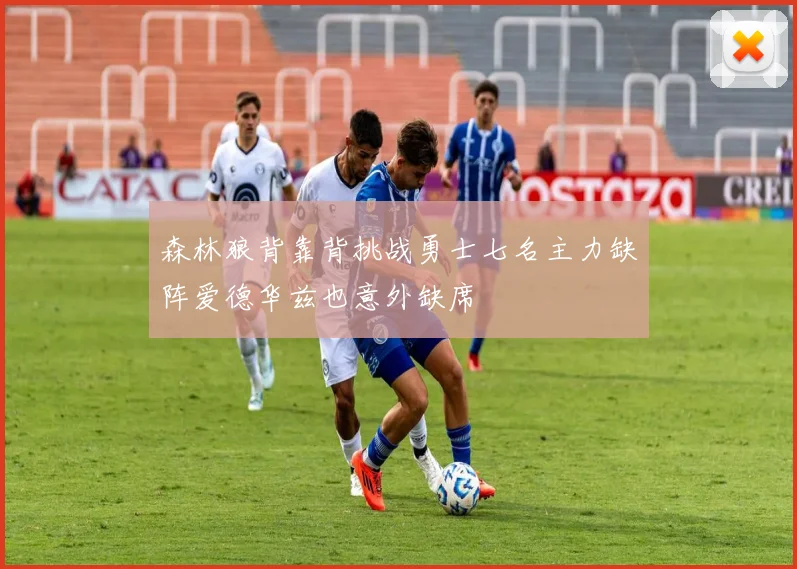 森林狼背靠背挑战勇士七名主力缺阵爱德华兹也意外缺席